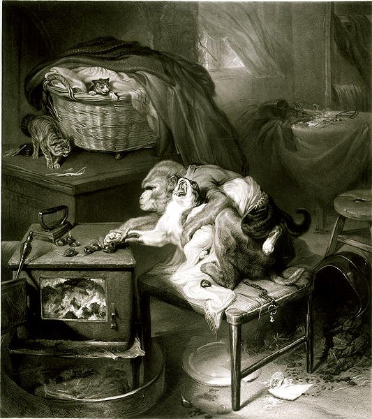 La pata del gato de Edwin Landseer