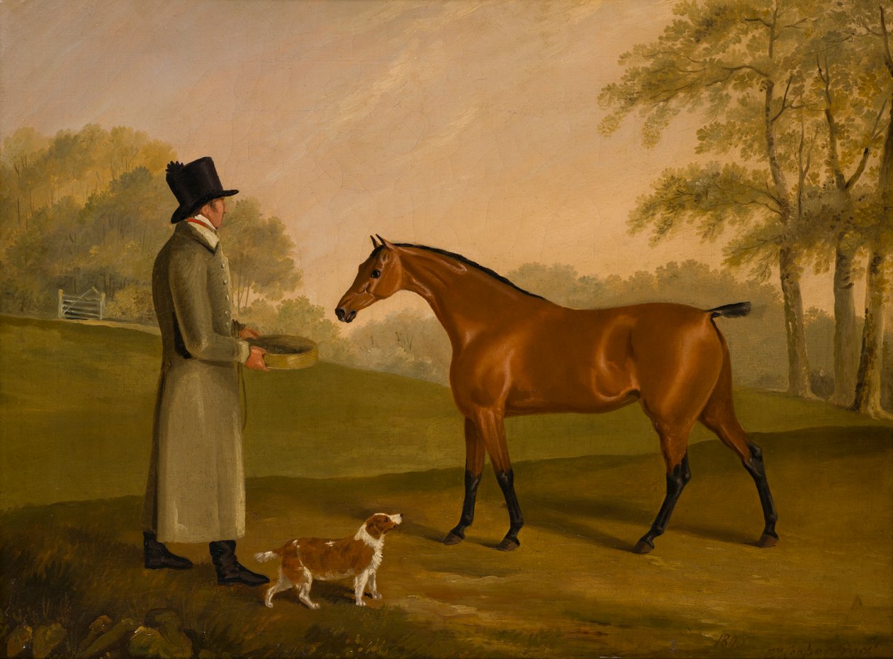 Un caballo en un paisaje con el novio, David, Bennet, c.1805 (óleo sobre lienzo) de Edwin W. Cooper