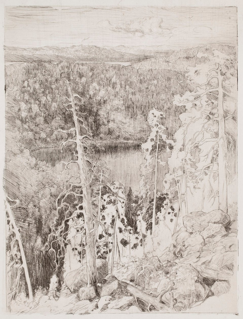 Paisaje de Koli; Paisaje forestal de Räsävaara de Eero Järnefelt