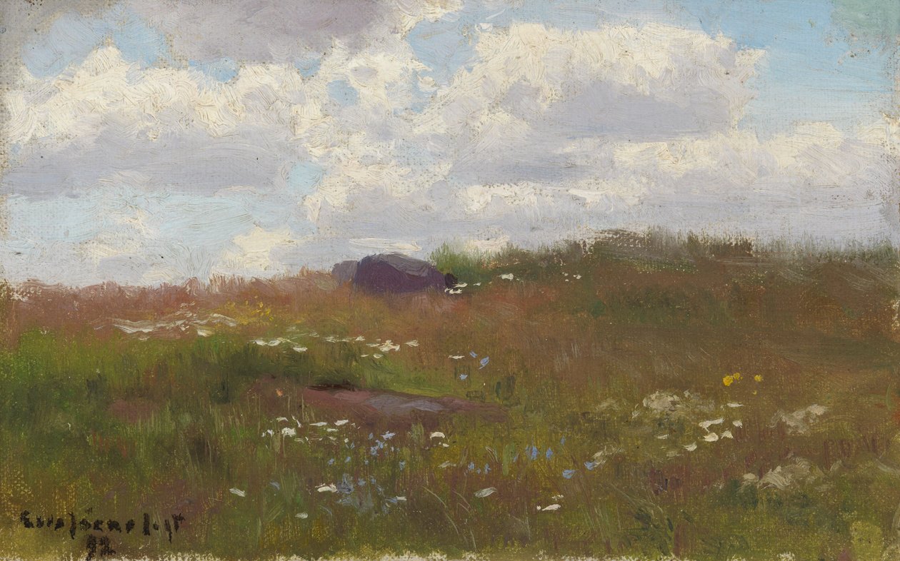 Pradera con flores de verano de Eero Järnefelt
