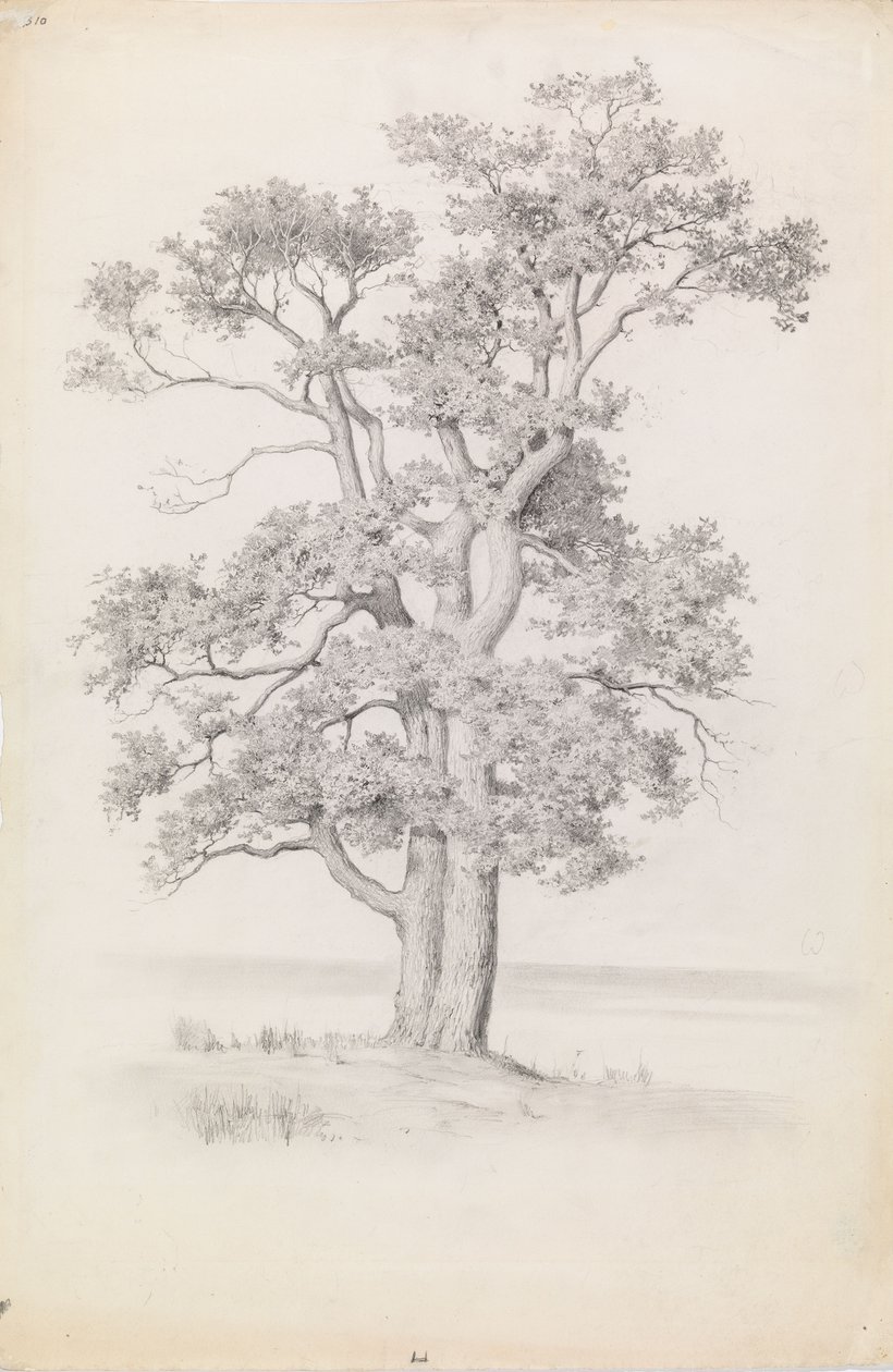Roble de Eero Järnefelt