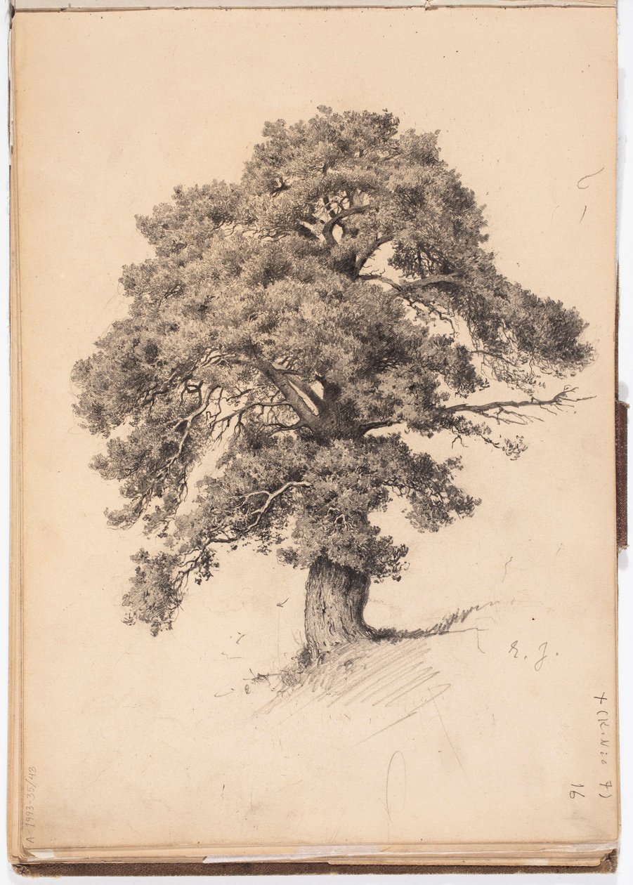 Pino, página del cuaderno de bocetos de Järnefelt de Eero Järnefelt