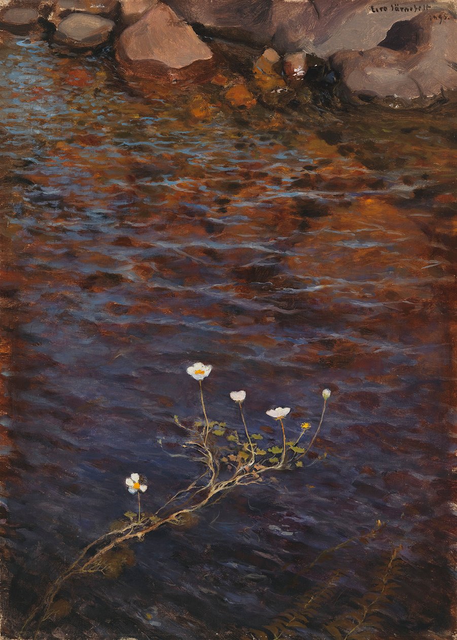 Ranúnculo acuático de estanque de Eero Järnefelt