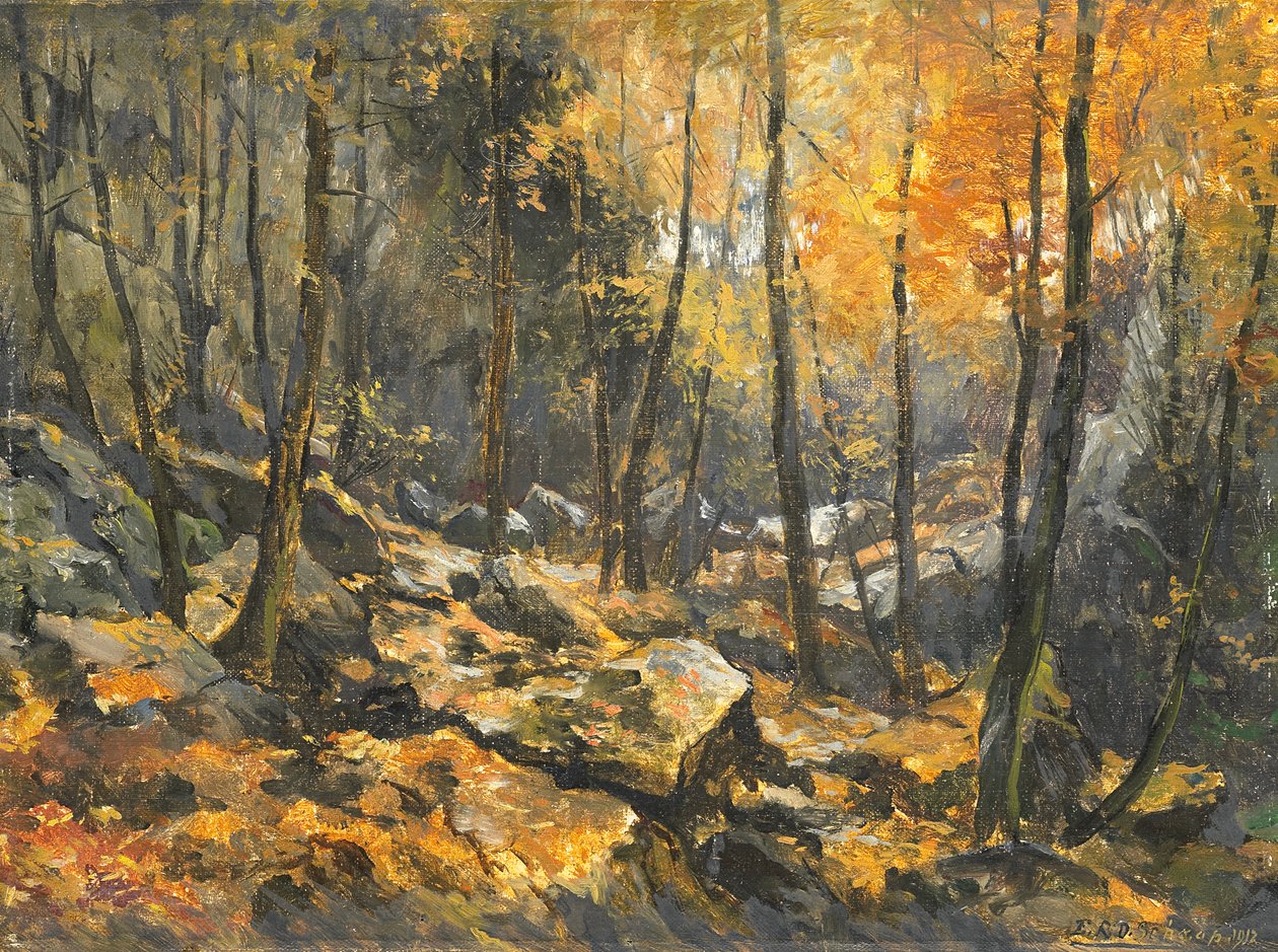 Felsenmeern de Egbert Schaap