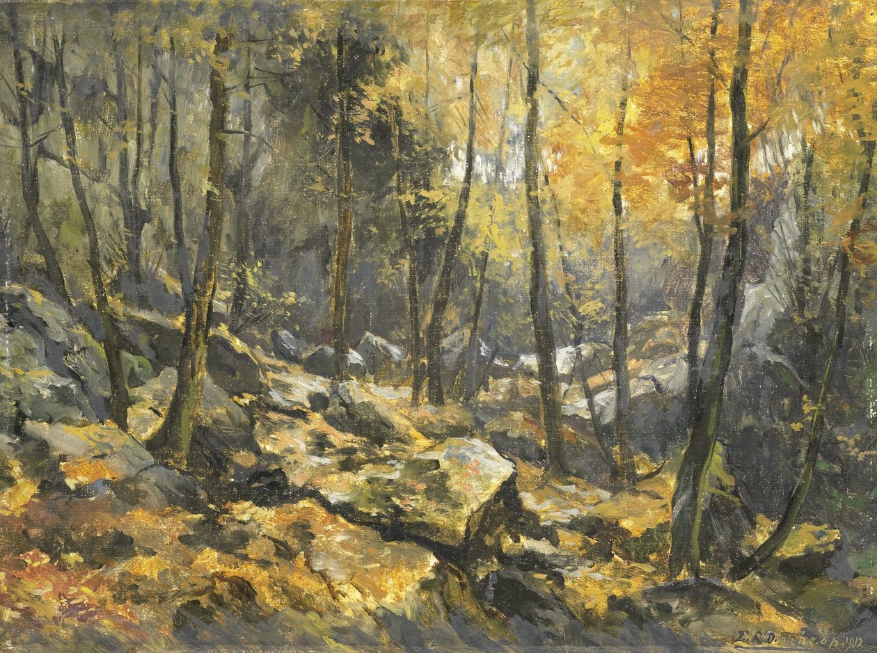 Felsenmeer de Egbert Rubertus Derk Schaap