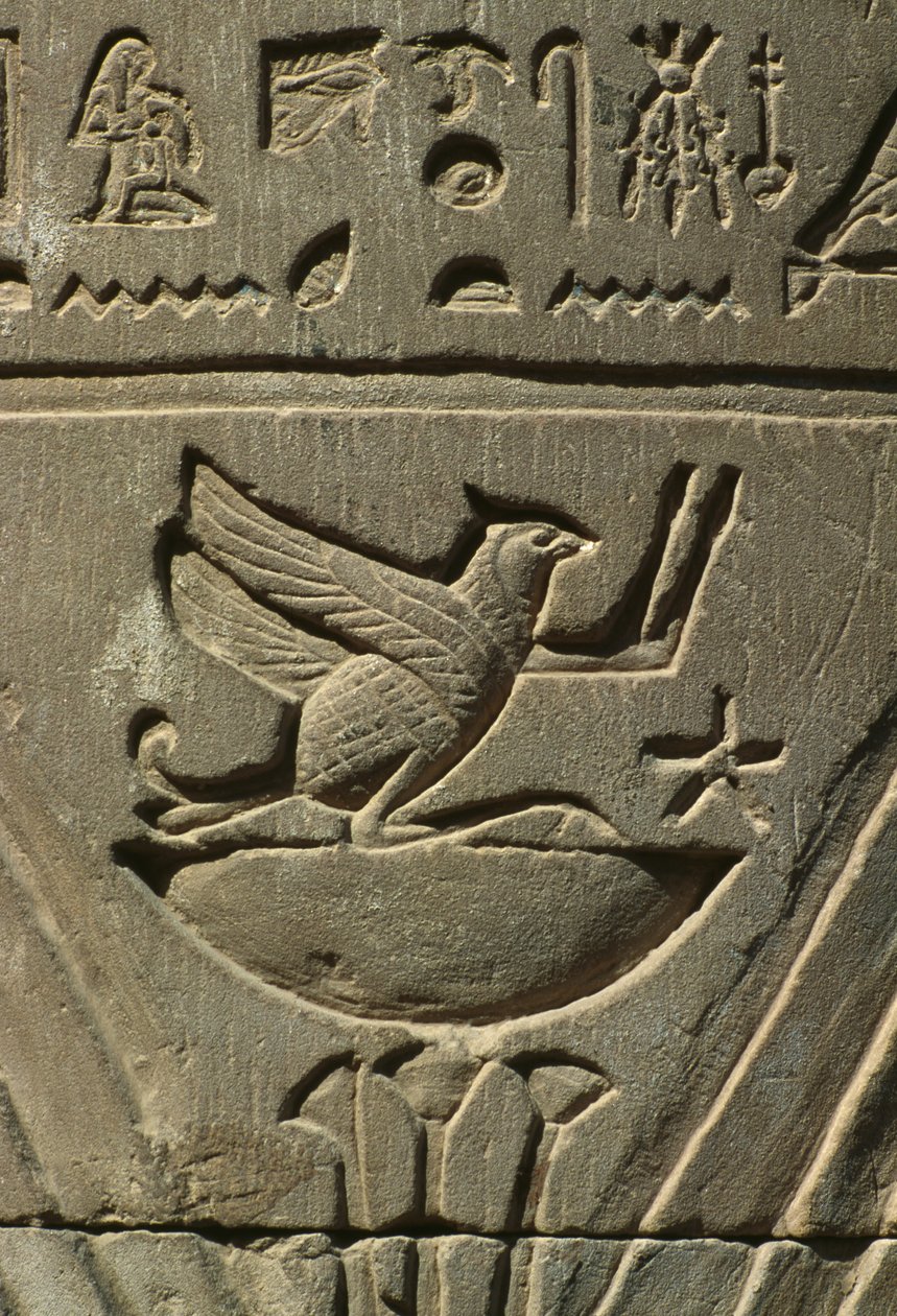 Detalle de un relieve, jeroglíficos de Egyptian