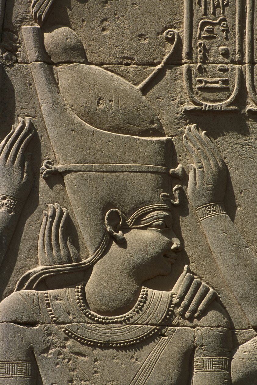 Detalle de un relieve, faraón de Egyptian
