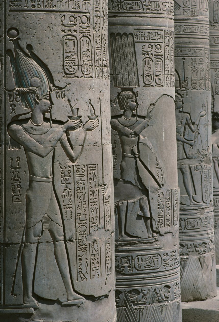 Detalle de la columnata, Templo Doble Romano y Ptolemaico de Sobek y Haroeris en el Río Nilo de Egyptian