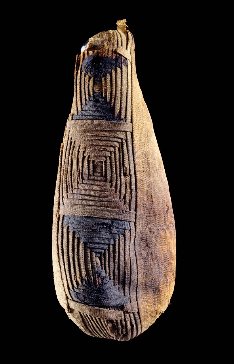 Momia de un ibis, de Abydos, Egipto de Egyptian