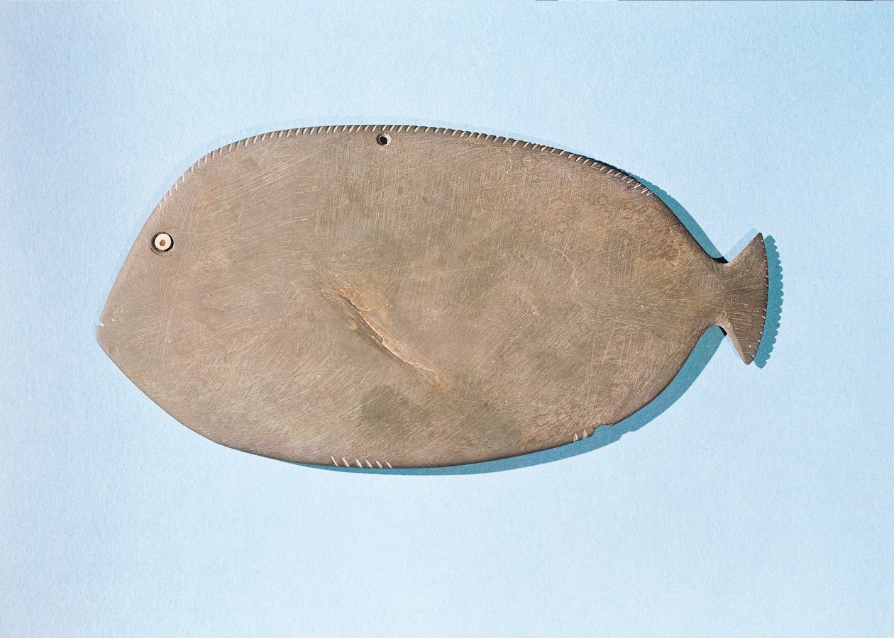 Paleta en forma de pez, Período Predinástico (5000-3100 a.C.) de Egyptian