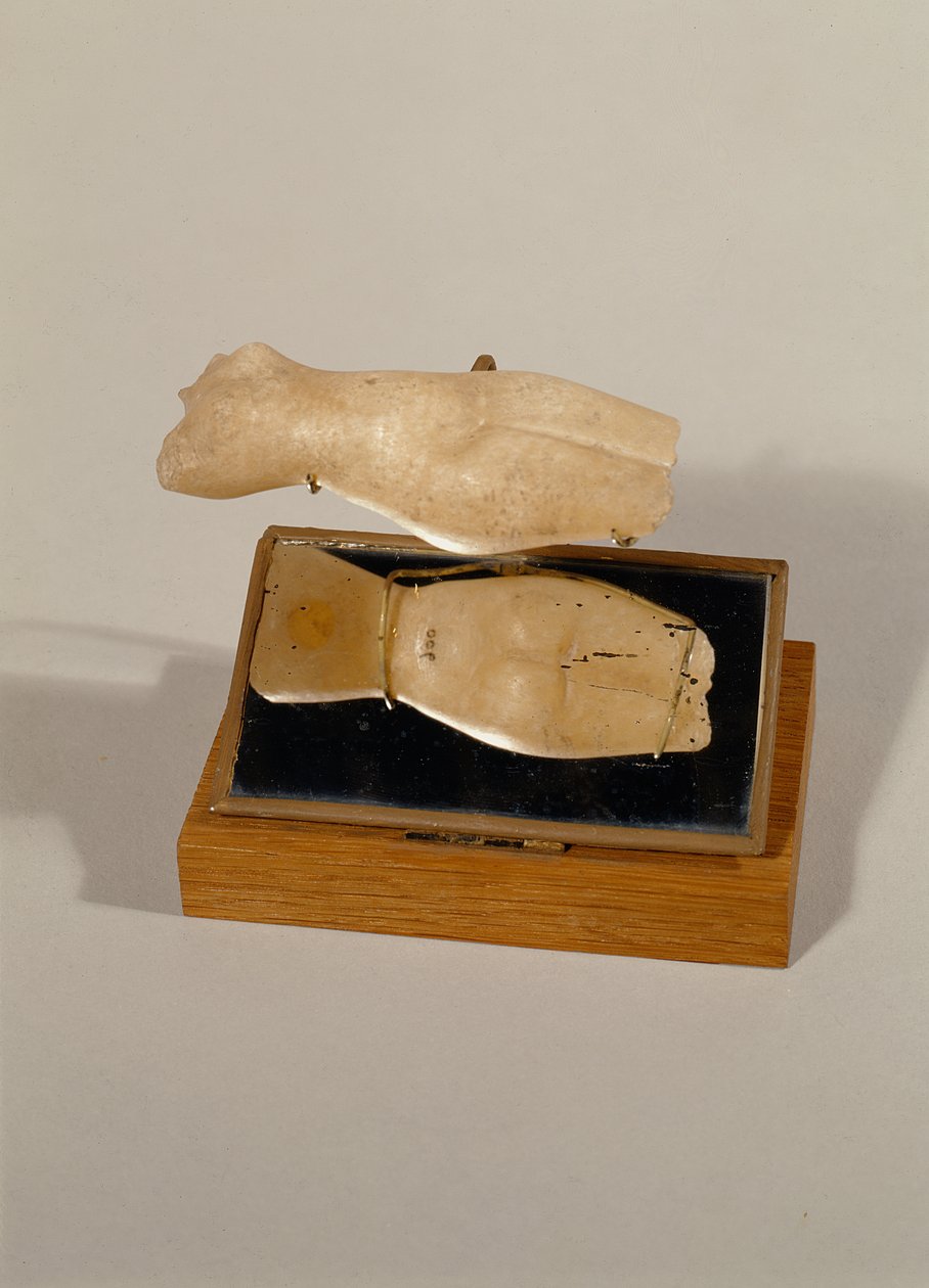 Torso de una mujer, Nuevo Reino (alabastro) de Egyptian 18th Dynasty