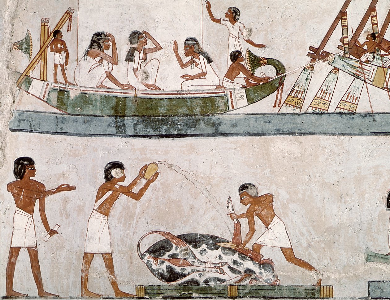 Sacrificio y purificación de un toro, y un ritual de navegación, de la Tumba de Menna, Nuevo Reino de Egyptian 18th Dynasty