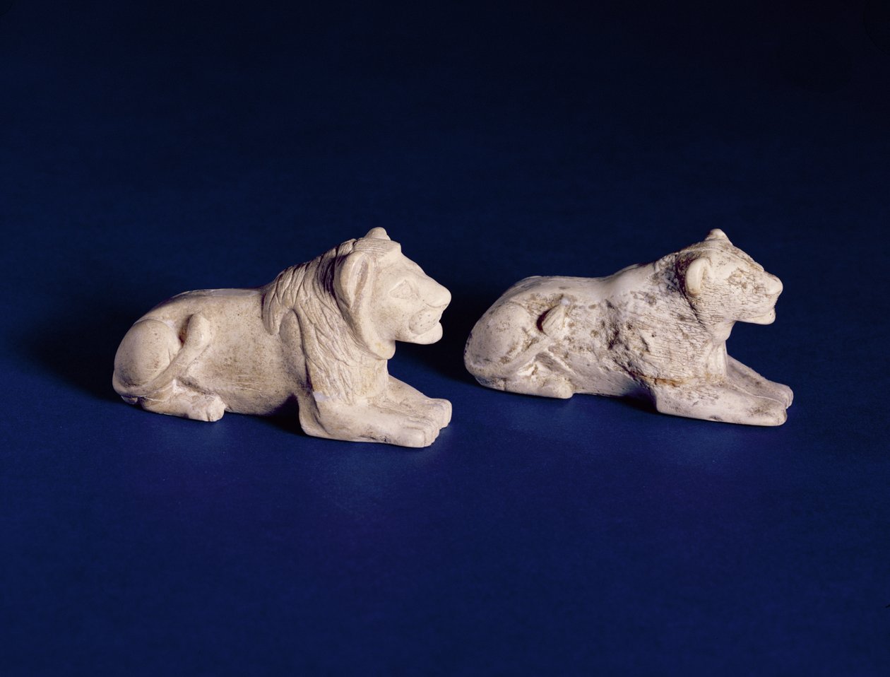 Piezas de juego de león, de la Tumba 1560s, Abydos, c.2920-2770 a.C. de Egyptian 1st Dynasty