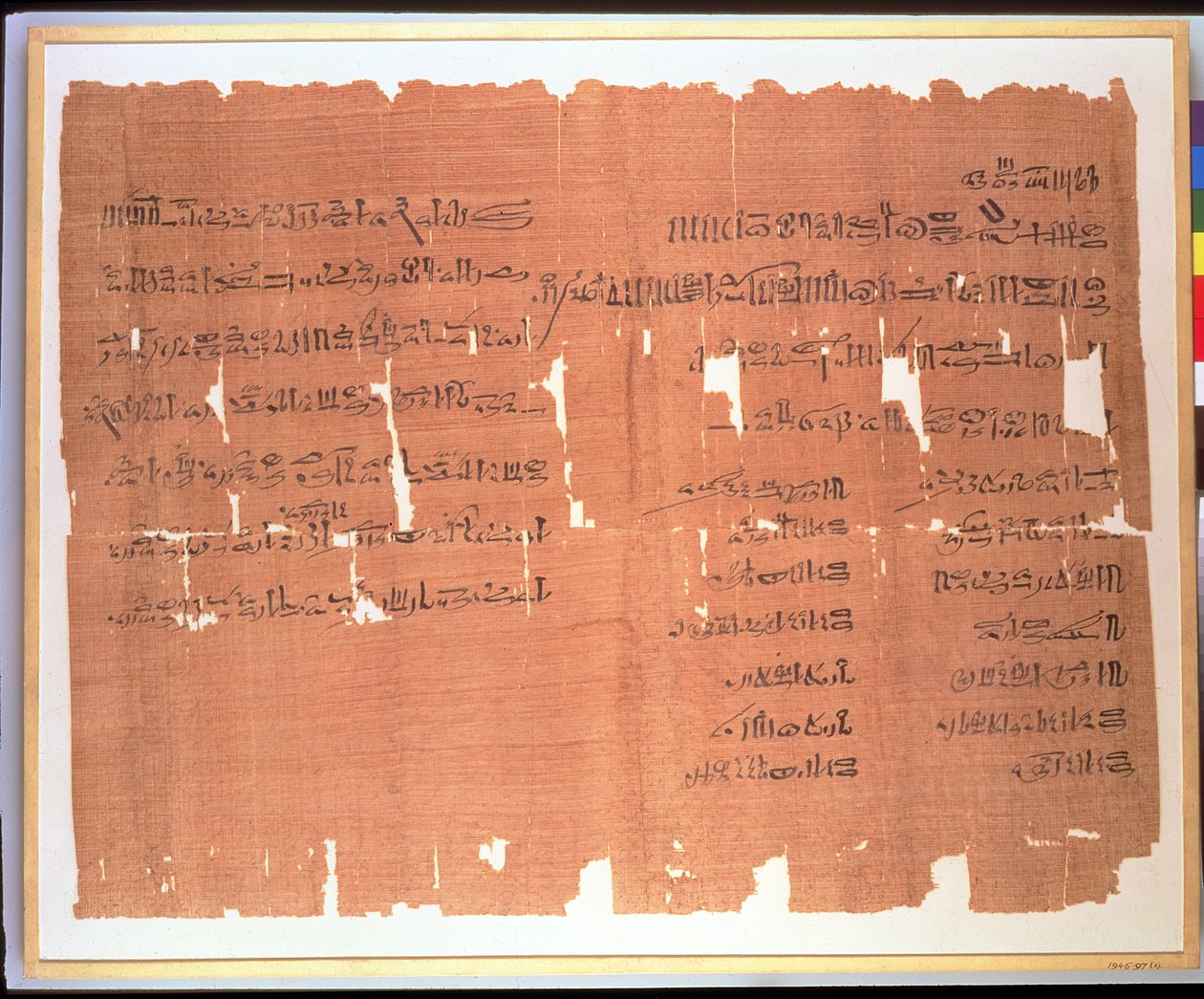 Testamento hecho por una dama tebana llamada Naunakhte, distribuyendo su propiedad entre los hijos de sus dos matrimonios, inscripción hierática, c.1156-51 a.C. (papiro) de Egyptian 20th Dynasty