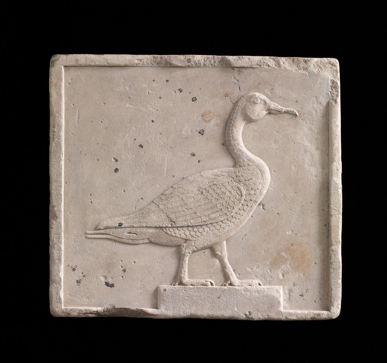 Placa que representa un ganso, Dinastía 26 o período Saíta, 664-525 a.C. o posterior de Egyptian 26th Dynasty