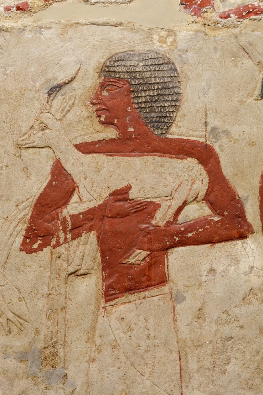 Tumba de Mastaba de Perneb, c.2381-2323 a.C. de Egyptian 5th Dynasty