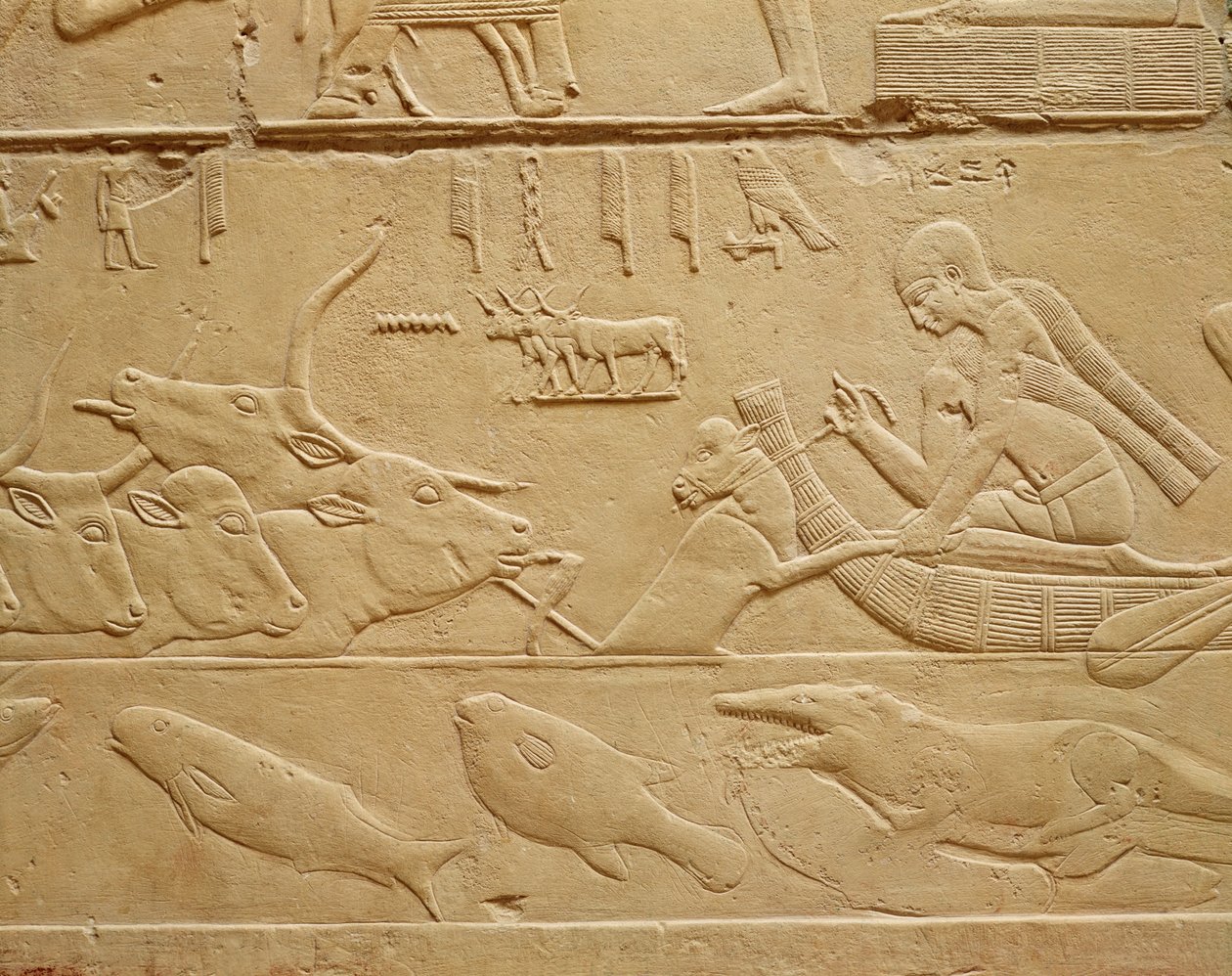 Ganado cruzando un vado, de la Mastaba de Kagemni de Egyptian 6th Dynasty