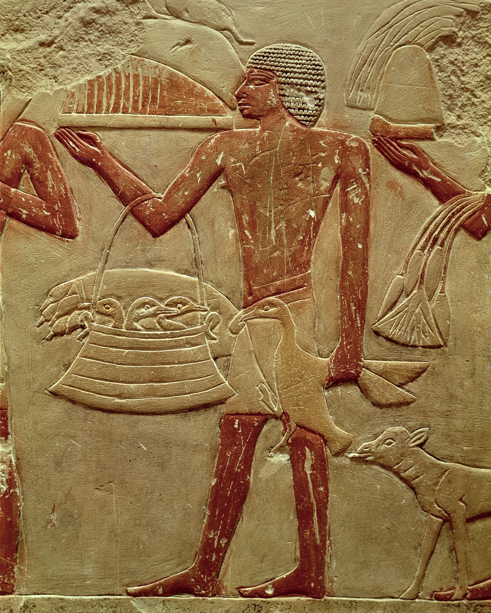 Relieve que representa a un porteador con una cesta de pichones, de la Tumba de la Princesa Idut, Reino Antiguo, c.2330 a.C. (caliza pintada) de Egyptian 6th Dynasty