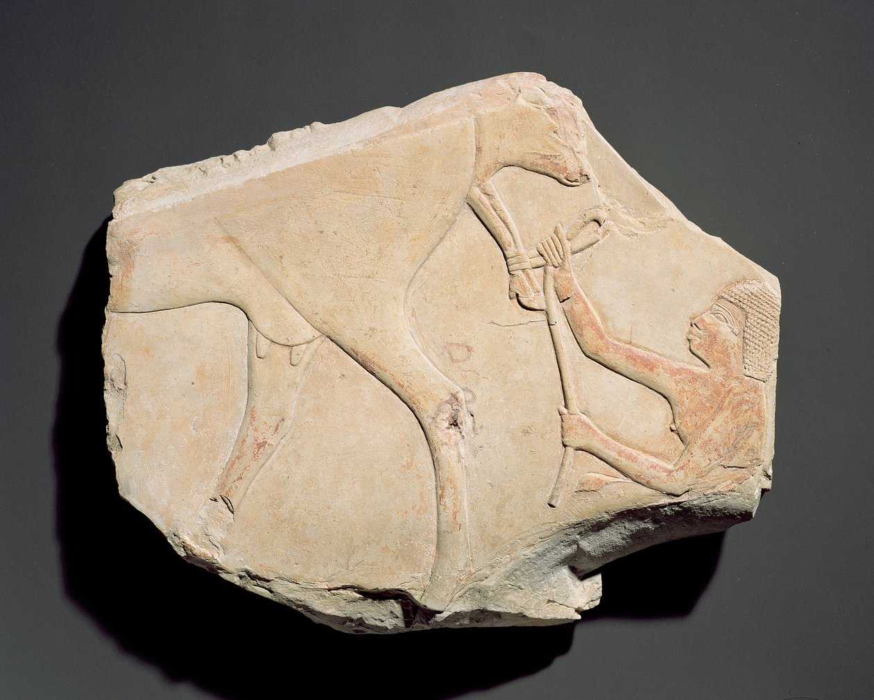 Fragmento de un relieve que representa el nacimiento de un ternero, de Asasif, Tebas, Tercer Periodo Intermedio (c.1069-664 a.C.) (caliza) de Egyptian