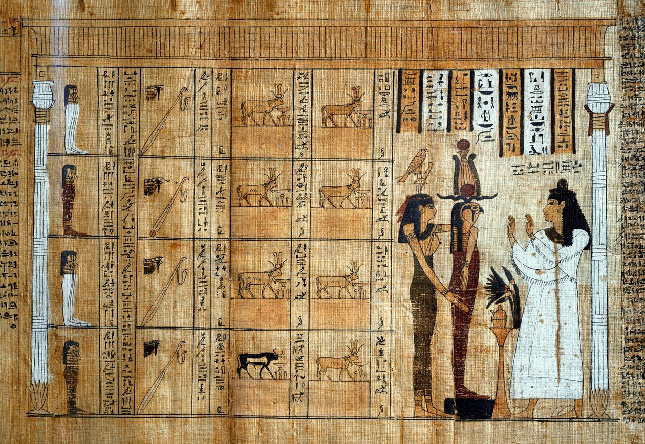 Imagen desconocida de Egyptian