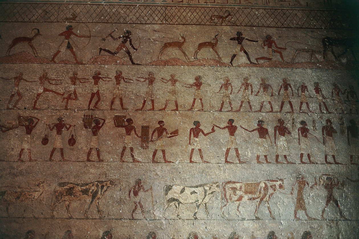 Necrópolis de Beni-Hasan. Tumba de Amenemhat, detalle: pinturas murales que representan escenas de caza y de la vida en el campo. de Egyptian 12th Dynasty