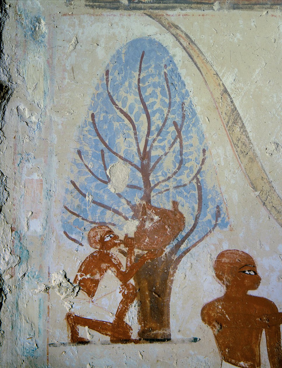  de Egyptian 18th Dynasty