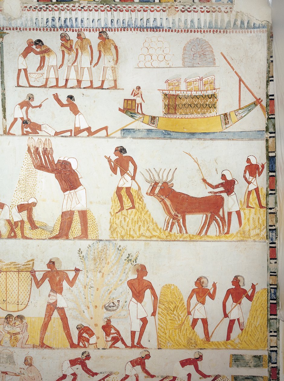 Barco y escenas de cosecha, recolección, transporte y procesamiento de grano, fresco, ala sur, cámara transversal, Tumba Tebana TT69, Sheikh Abd el-Qurna, Tebas (Lista del Patrimonio Mundial de la Unesco) de Egyptian 18th Dynasty