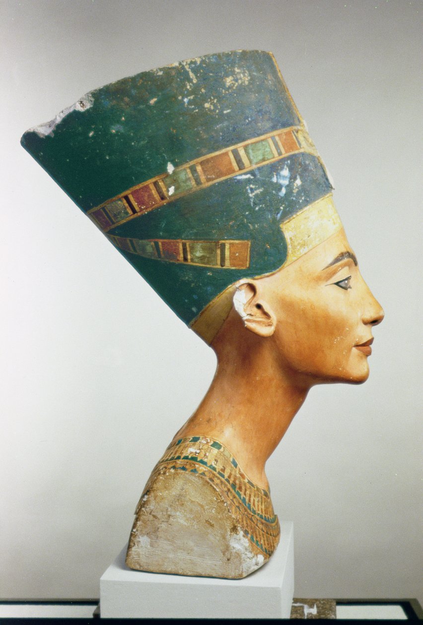 Busto de la reina Nefertiti, vista lateral, del estudio de Thutmose en Tell el-Amarna de Egyptian 18th Dynasty
