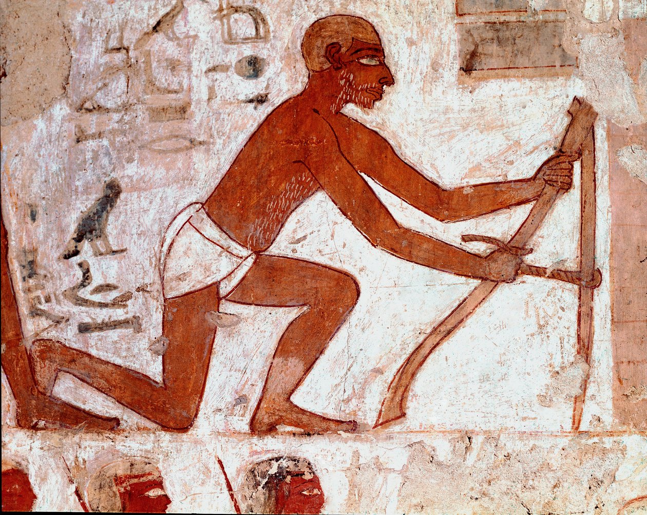 Arte egipcio: Tumba de Rekhmire de Egyptian 18th Dynasty