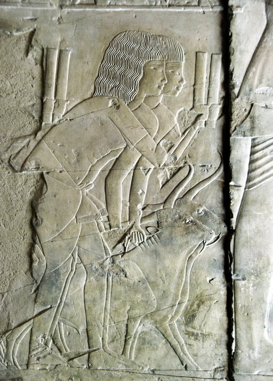 Antigüedad egipcia: conecta de la tumba de Kha em Het (Khaemhat) inspector de graneros y escriba en la corte de Amenofis III (TT57) representando hombres ofreciendo cabezas de remolacha como ofrenda. 18ª dinastía. 1530-1290 a.C. Valle de los Nobles. Luxor, de Egyptian 18th Dynasty