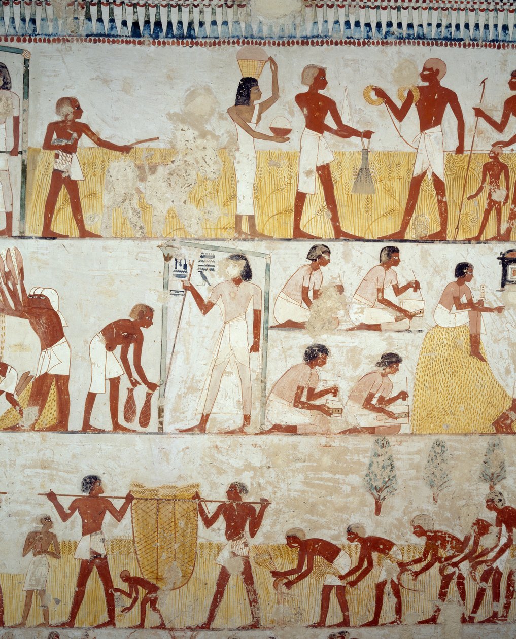 Cosecha, trilla y aventado de grano, detalle de los frescos en el vestíbulo de la Tumba de Menna, Necrópolis de Sheikh Abd el Qurnah, Luxor, Tebas (Lista del Patrimonio Mundial de la Unesco) de Egyptian 18th Dynasty