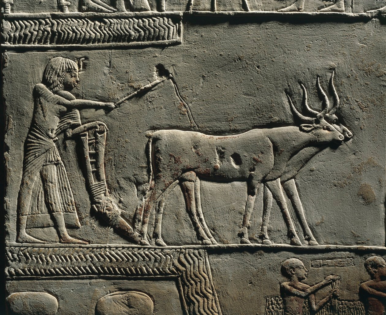 Horemheb arando la tierra en los Campos de Iaru. Relieve de la tumba de Horemheb en Saqqara, detalle. de Egyptian 18th Dynasty