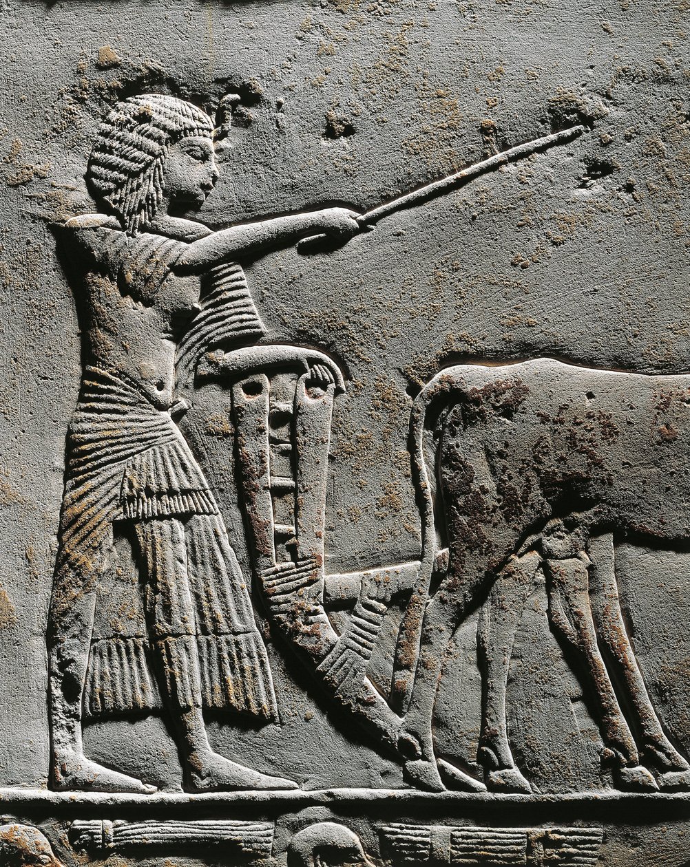 Horemheb arando la tierra en los Campos de Iaru, relieve de la tumba de Horemheb en Saqqara, detalle de Egyptian 18th Dynasty