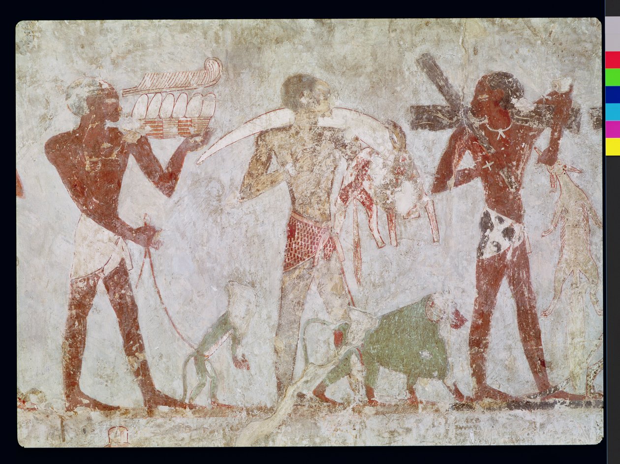 Kushitas llevando tributos de oro, marfil y pieles de animales, de la Tumba de Rekhmire, visir de Tutmosis III y Amenhotep II, Nuevo Reino (pintura mural) de Egyptian 18th Dynasty