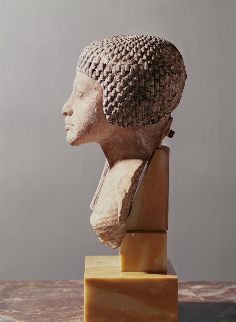 Perfil izquierdo de la cabeza de una princesa de la familia de Akhenaten, Nuevo Reino (detalle) de Egyptian 18th Dynasty