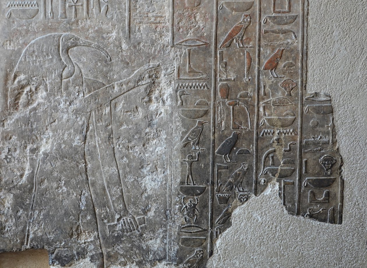 Bajo relieve. Templo funerario de Hatshepsut, Deir el Bahari de Egyptian 18th Dynasty