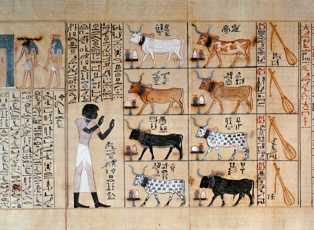 Papiro que representa bueyes, del Libro de los Muertos de Maiherperi de Egyptian 18th Dynasty