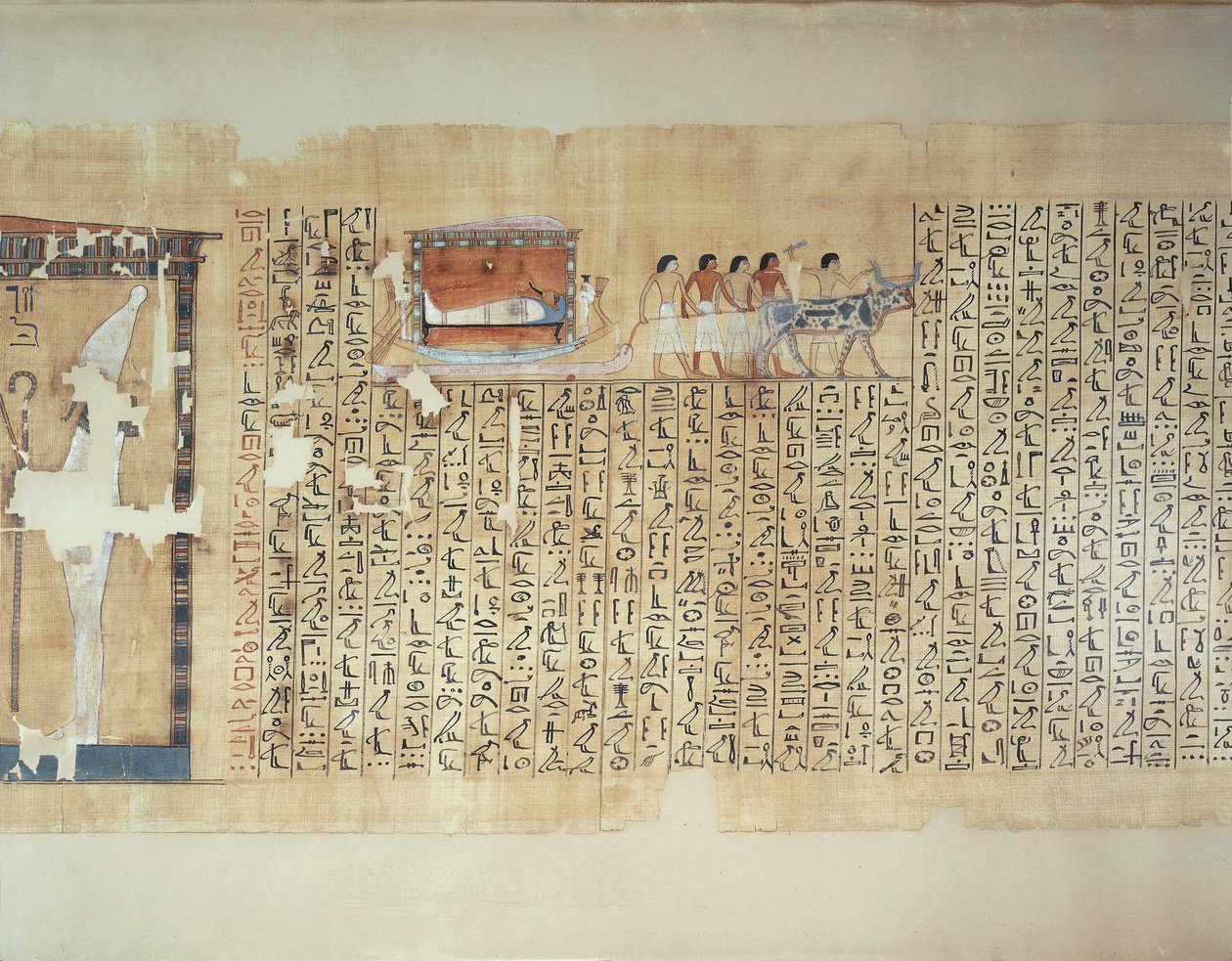 Papiro que representa el transporte de un sarcófago en un carro tirado por un buey, del Libro de los Muertos de Maiherperi. de Egyptian 18th Dynasty
