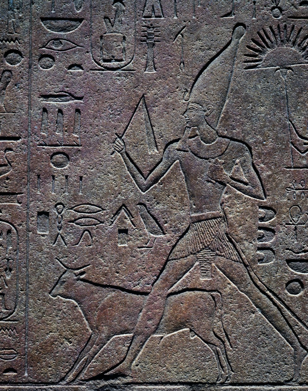 La reina Hatshepsut acompañada por el toro Apis durante las actividades ceremoniales de la celebración del jubileo, relieve, Templo de Amón, Complejo del Templo de Karnak (Lista del Patrimonio Mundial de la Unesco de Egyptian 18th Dynasty