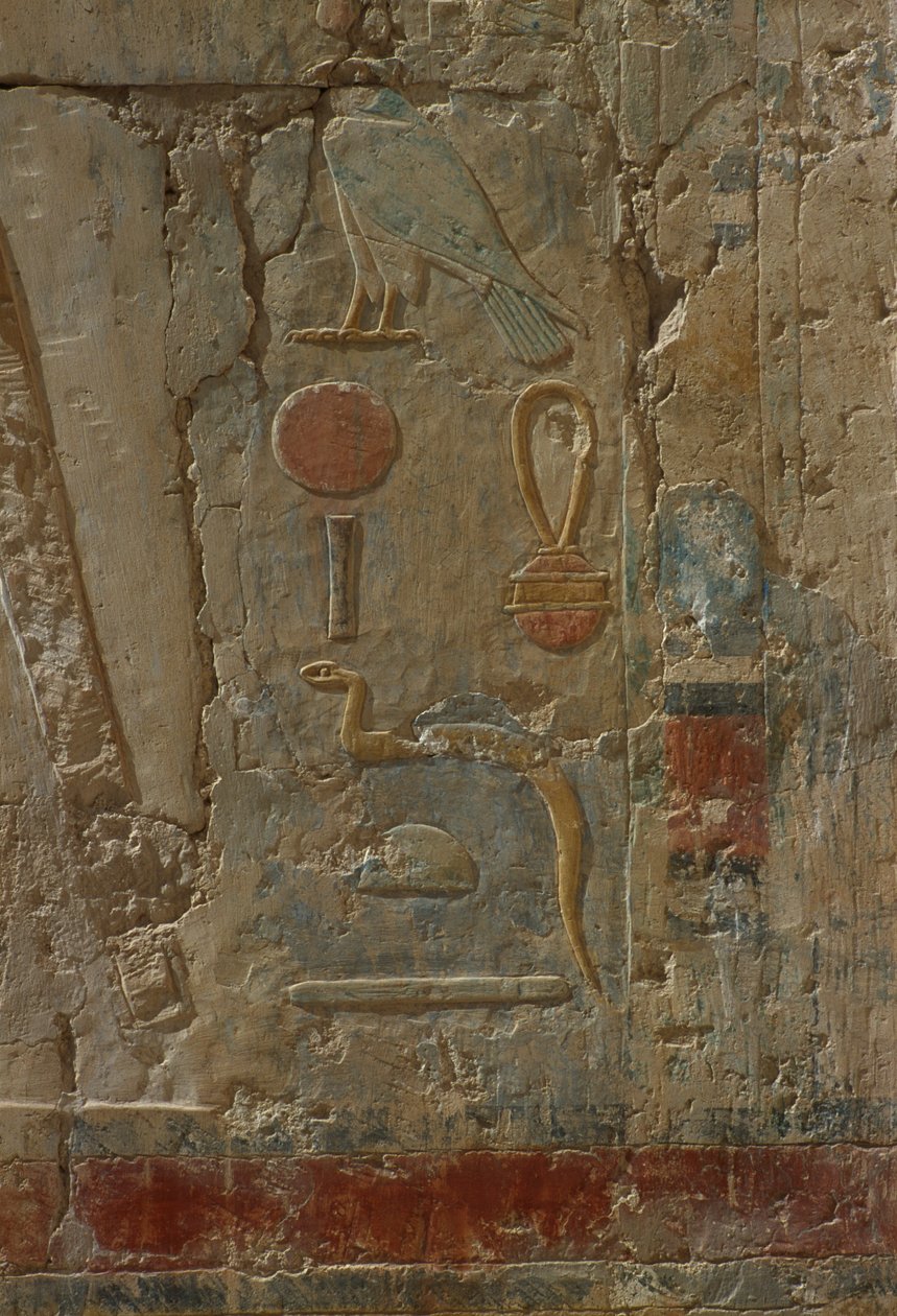 Relieve que representa a Horus, capilla de la diosa Hathor, del Templo Mortuorio de Hatshepsut (c.1503-1482 a.C.) de Egyptian 18th Dynasty