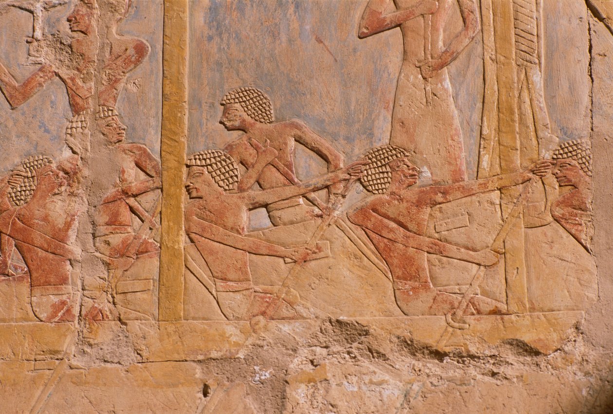 Relieve que representa a hombres remando en un bote (detalle), del Templo Mortuorio de Hatshepsut (c.1503-1482 a.C.) de Egyptian 18th Dynasty