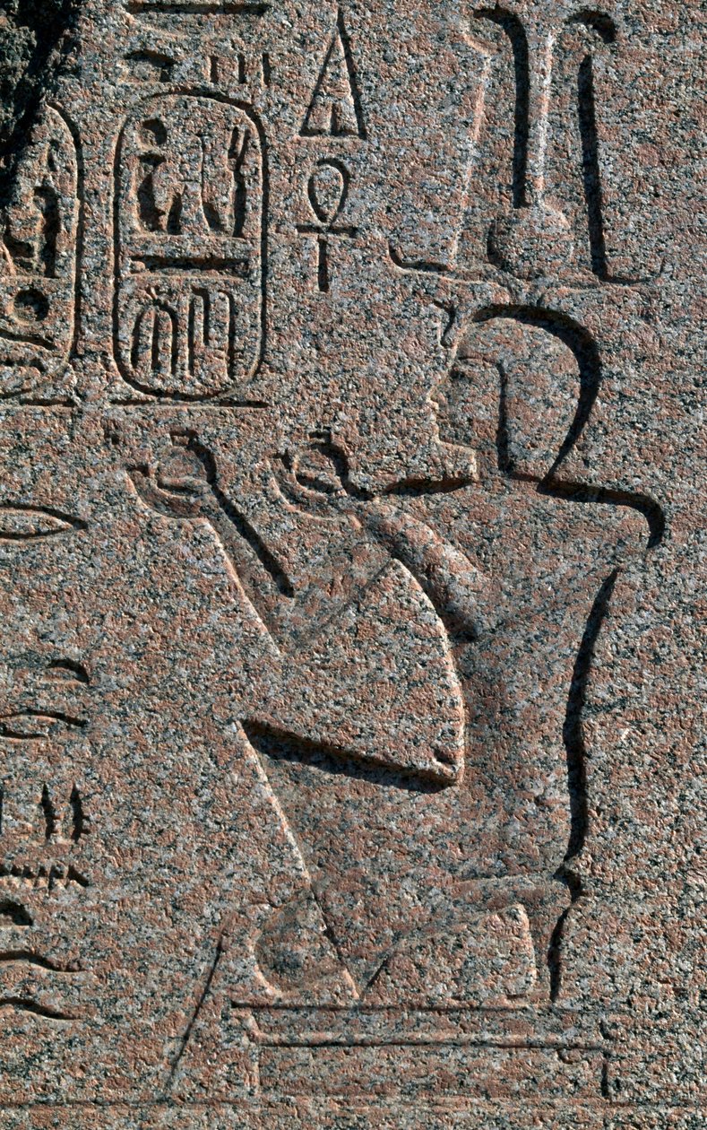 Bloque con relieves e inscripciones de Ramsés II, Gran Templo de Amón, Tanis, Egipto, Civilización egipcia, Reino Nuevo, Dinastía XIX de Egyptian 19th Dynasty