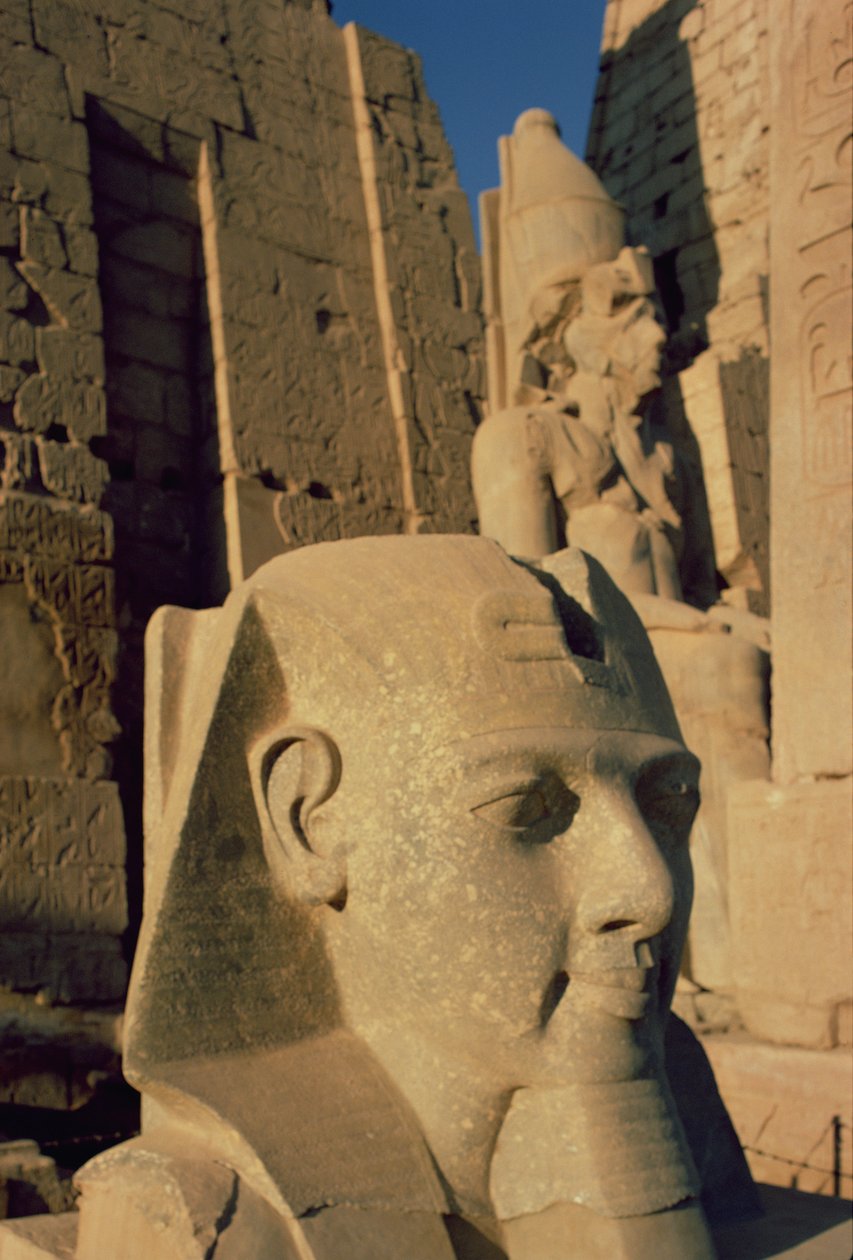 Cabeza colosal de Ramsés II de Egyptian 19th Dynasty