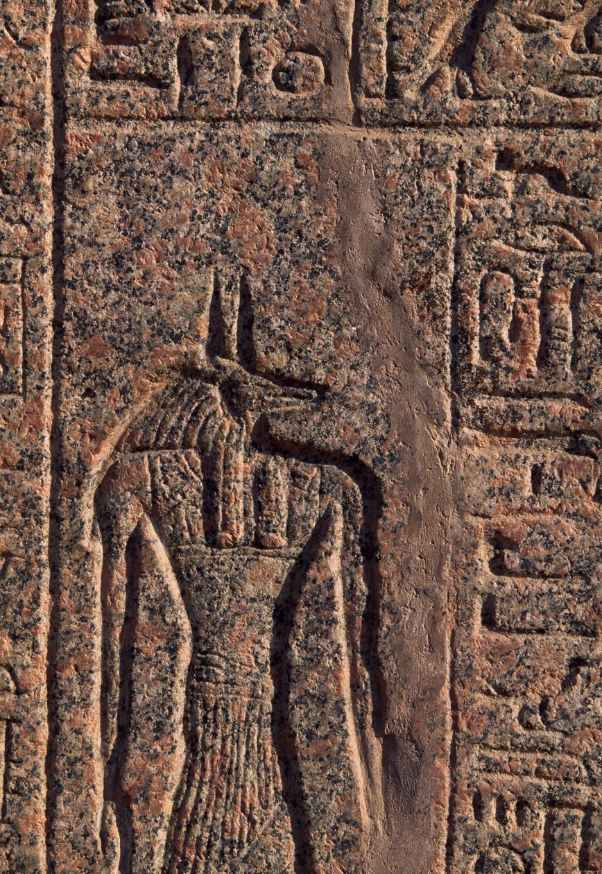 Representación de Anubis, detalle de inscripción y relieve de Anubis y otro dios, sarcófago de Amenhotep, Menfis (Lista del Patrimonio Mundial de la Unesco de Egyptian 19th Dynasty