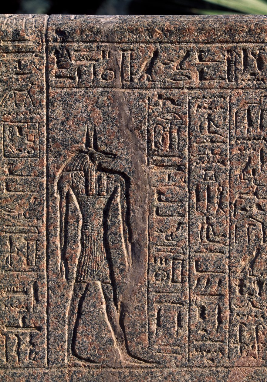 Representación de Anubis, detalle de inscripción y relieve de Anubis y otro dios, sarcófago de Amenhotep, Menfis (Lista del Patrimonio Mundial de la Unesco de Egyptian 19th Dynasty