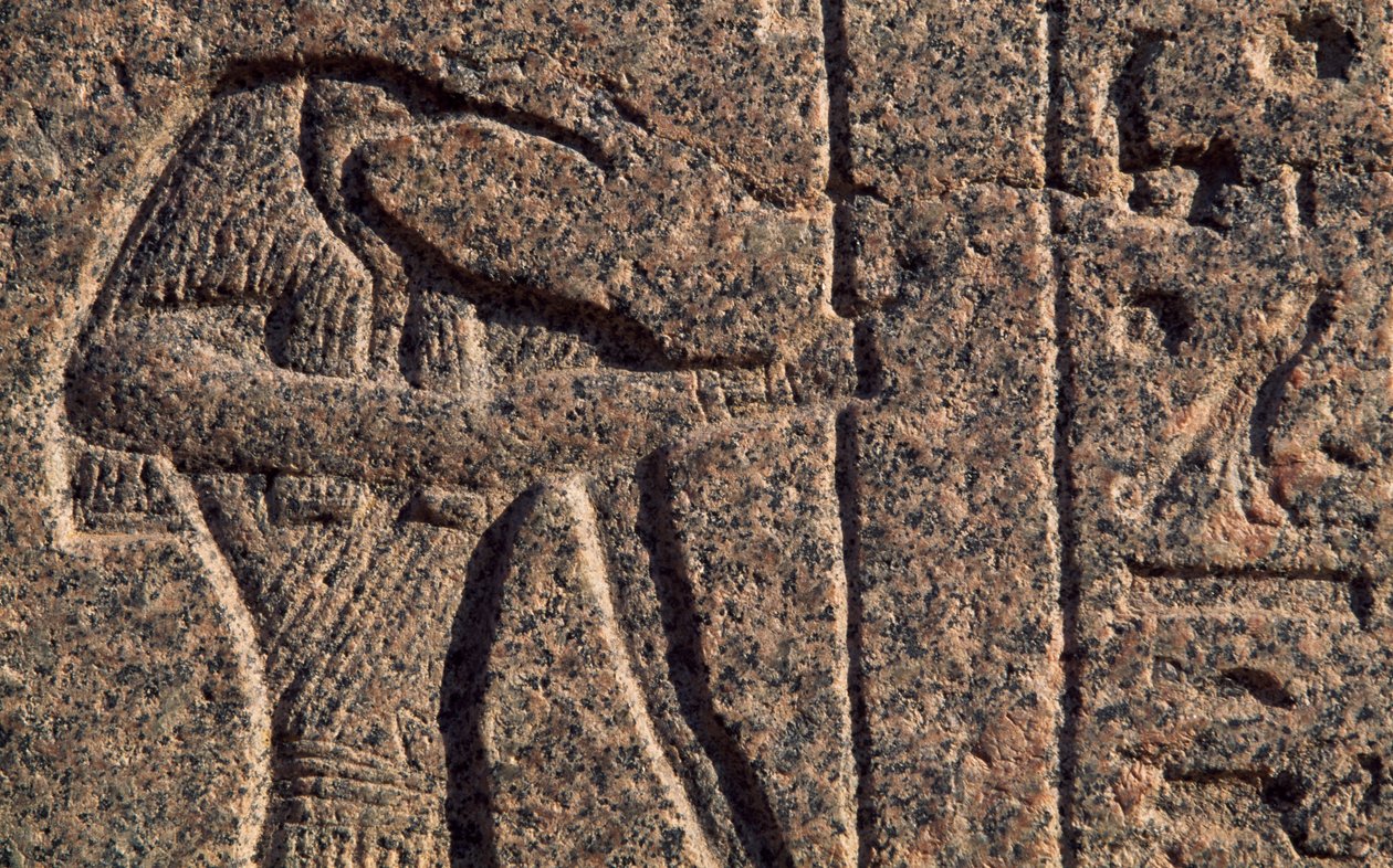 Representación de Toth, detalle de inscripción y relieve de Toth y Horus, sarcófago de Amenhotep, Menfis (Lista del Patrimonio Mundial de la Unesco de Egyptian 19th Dynasty