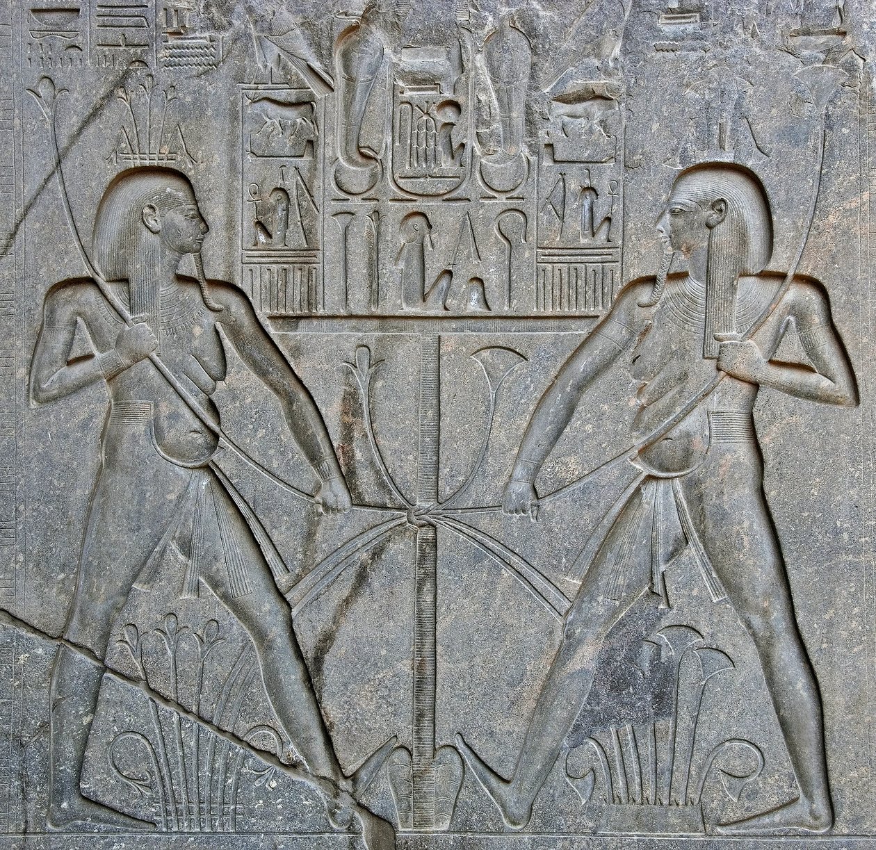 Antigüedad egipcia: detalle de la base de la estatua del Faraón Ramsés II (1292-1186 a.C.) que representa la unión del Alto y Bajo Egipto. Templo de Luxor. Ribera Este (Tebas), Egipto de Egyptian 19th Dynasty