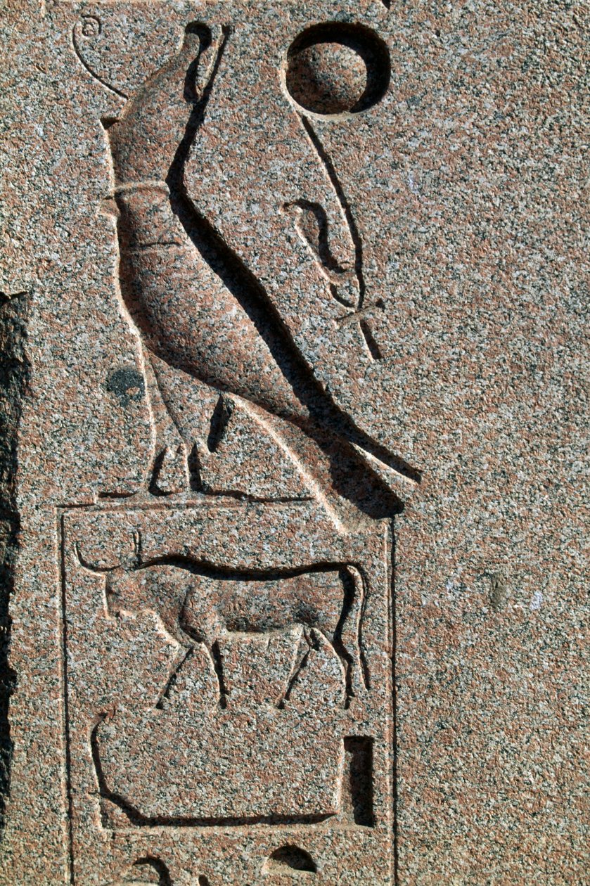 Jeroglífico con el nombre de Horus, Gran Templo de Amón, Tanis, Egipto, Reino Nuevo, Dinastía XIX de Egyptian 19th Dynasty
