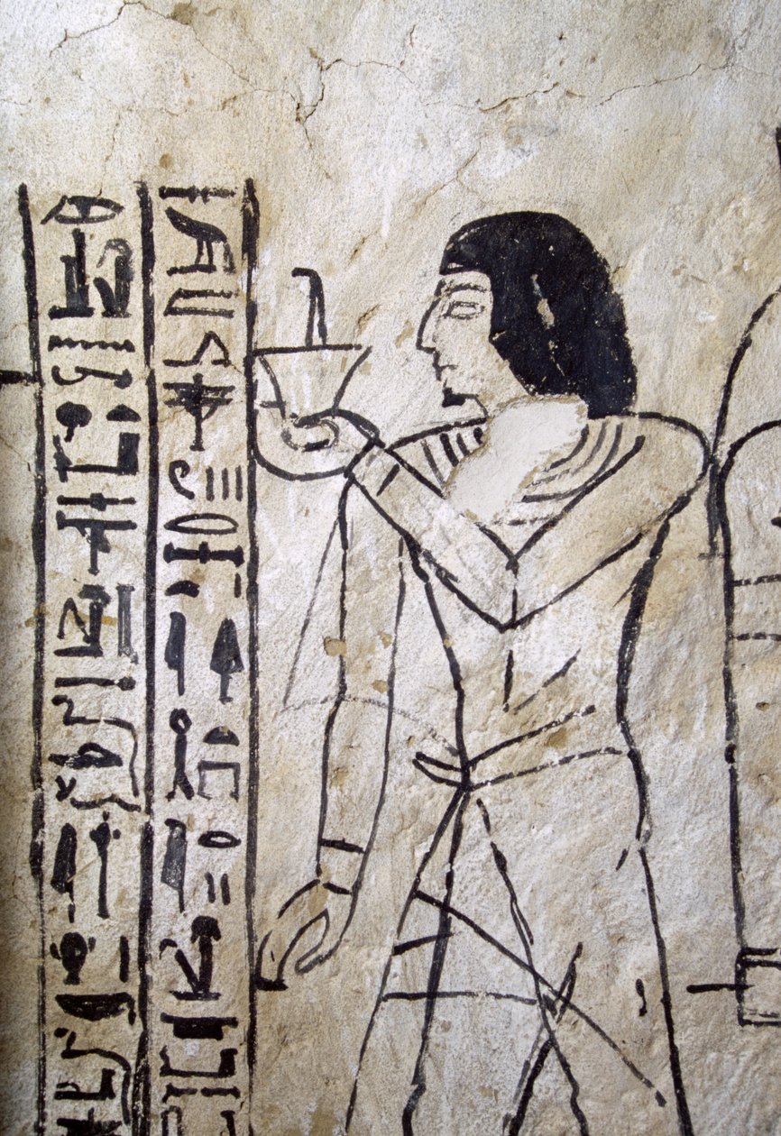 Imagen del libro de los muertos, Tumba de Nakhtmin, Abusir, Egipto, Civilización egipcia, Nuevo Reino, Dinastía XIX de Egyptian 19th Dynasty