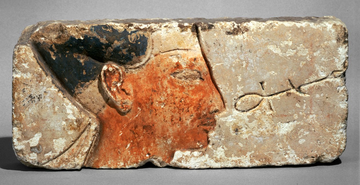 Perfil de un rey, probablemente Ramsés II - Perfil del faraón Ramsés II. Piedra caliza pintada ... de Egyptian 19th Dynasty
